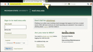 A phishing website posing as mail.msu.edu