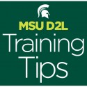 MSU D2L Training Tips graphic